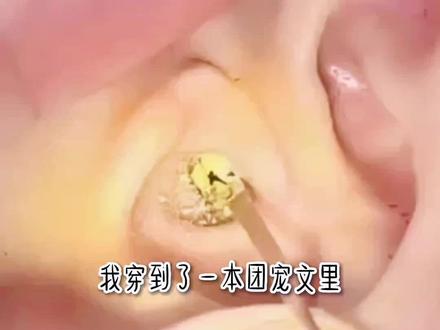 我穿书成为豪门千金,父母有钱有颜还有一群疼爱我的哥哥。什么?我尽然是团宠女配?#抖音故事 #小说推荐 #女生必看 #文荒推荐 #小说