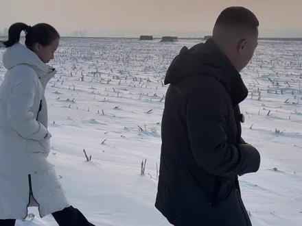 #土地全程托管刘辉 #农二代 四海无闲田,希望你能种好地