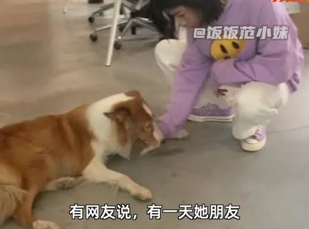 人美心善的小姐姐真的太圈粉了👍#赵露思 #萌宠 #宠物 #狗狗 #娱乐评论大赏
