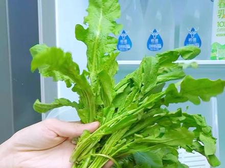 保鲜妙招|吃春菜的季节到了,如何保鲜是关键! #春菜 #荠菜 #菠菜 #枸杞芽 #一周备菜