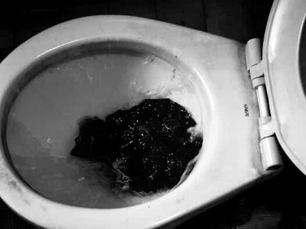 震惊全港的碎尸奇案,花季少女的短暂人生,犯罪片《踏血寻梅》#star #萤火计划