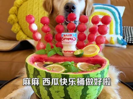 我以后再也不想吃西瓜了.....#奇异动物召集令