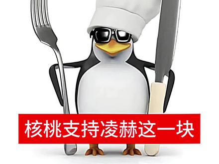 张凌赫全肯定 五大必须支持#张凌赫 #EllE张凌赫杂志 #时尚大片