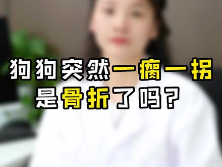 狗狗突然一瘸一拐,是骨折了吗?#狗狗骨折 #狗骨折
