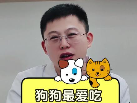 狗狗最爱吃的六种食物,最后一种更是让狗子欲罢不能!你家的狗狗最喜欢吃什么呢?#科学养宠攻略 #小馋狗 #狗狗知识大全 #养宠进阶指南