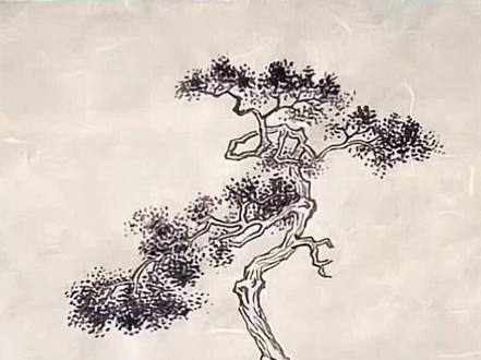 松柏组合有规律