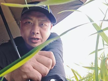 货车全面开放个人户了,你期待吗? 自2026年3月20日,全国范围货车全面开放个人户,不得强制挂靠,对于这个政策,你有什么想法?#货车新规#全国卡友#货车司机#交通部新规定#物流运输