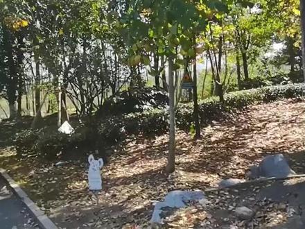 据说,桐庐凤川街道这个地方,马上要拆迁了! #桐庐#拆迁#上热门🔥 #凤川