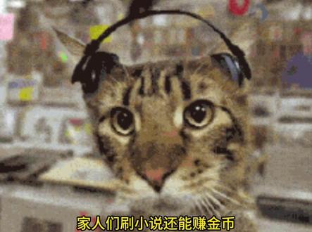 看小说领金币 #番茄小说 #红包