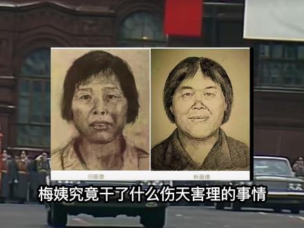 「中国畏罪潜逃20余载,梅姨终于落网!」#梅姨#社会冷知识科普#历史#二战#抖音精选计划