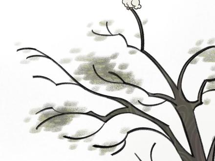 Yaaaaaaaaasaasaa
#野鸟乐队 #鸟 #葵花鹦鹉 #meme #原创