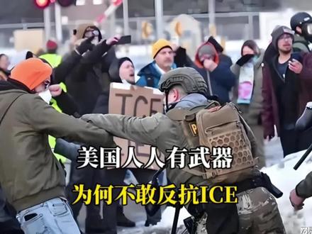 “北美懦夫”火爆外网,美国人人持枪,为什么不敢反抗ICE?
