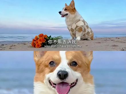 宠物版山的那边是什么豆包生成教程来了 #豆包ai #豆包p图已经nextlevel了 #宠物版山的那边是什么
#海的尽头是什么 #狗狗的爱永远不会消失
萌宠海边三拼图 宠物山的那边是什么 狗狗山的那边是什么 宠物山的那边是什么特效 宠物版山的那边是什么 宠物氛围感ai教程 萌宠海边三拼图教程 海边三拼图 宠物氛围感ai照片 萌宠三段式特写拼图教程 冬日萌宠三拼图 宠物写真 宠物三拼图 海边三拼图无缝拼接带文字 山的那边是什么ai生成猫咪 萌宠三拼图 萌宠海边 海边三合一拼图 山的那边是什么ai生成猫咪指令 山的那边是什么ai生成猫咪文案 山的那边是什么怎么用ai 山的那边是什么ai生成宠物 小猫山的那边是什么ai生成 山的那边是什么ai生成口诀 山的那边是什么ai指令 山的那边是什么生成模板 猫咪ai特效教程 海的尽头是什么 海的那边是什么 海的那边是什么你不必告诉我 海的那边是什么ai指令 海的那边是什么豆包p图指令 海的那边是什么ai 宠物版三合一照片 三合一照片制作教程 氛围感三合一照片 宠物氛围感三合一照片 山的那边是什么ai教程 山的那边是什么ai 山的那边是什么ai生成指令 山的那边是什么ai生成照片指令 山的那边是什么ai生成 山的那边是什么我会自己看 山的那边是什么ai生成宠物合照 山的那边是什么 山的后面是什么三宫格猫咪 豆包ai山的后面是什么猫咪 猫咪三宫格氛围感写真 狗狗三宫格氛围感写真 宠物海边三宫格 猫咪海边三宫格 狗狗海边三宫格 ai海边三拼图指令山的后面是什么你不用告诉我猫咪 ai指令三宫格猫咪 ai照片豆包p图指令教程三宫格 豆包p图指令教程三宫格文案 豆包p图三宫格口令 豆包p图三宫格指令 豆包p图指令教程三宫格教程 豆包三宫格照片指令 豆包p图指令三人合照 豆包p图指令山川三宫格 海边三宫格豆包指令 豆包山的那边是什么 豆包p图三宫格 豆包p图指令教程三合一 豆包p图特效指令三宫格 三宫格特效 山的后是什么海的那边是什么ai指令 ai生成写真图豆包p图指令高级感男生 豆包p图制作三宫格 AI豆包助你假期出片 豆包p图指令电影感 豆包山的那边是什么山的后面是什么你不用告诉我 山的后面是什么豆包 山的后面是什么梗 山的后面是什么台词 海边三宫格三合一的氛围感豆包p图指令 手捧鲜花豆包p图指令氛围感 三宫格胶片写真教程