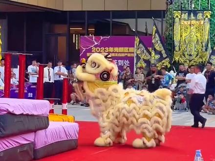 狮王精彩高桩醒狮表演~行云流水,栩栩如生!#醒狮文化 #醒狮表演 #专业动作请勿模仿 #非遗抖起来 #高桩醒狮 @抖音小助手