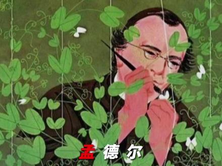 豌豆射手孟德尔应该是抖音最具有号召力的生物学家了吧。
#高级感 #孟德尔 #孟德尔和他那该死的豌豆 #孟德尔遗传定律