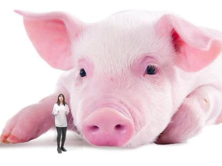 #科普一下 #科普 #气调包装 什么~是气调包装?@抖音小助手