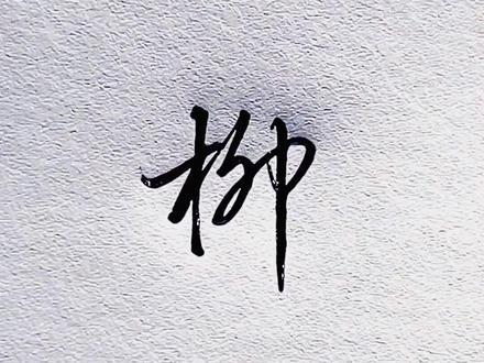 不同的人写“柳”字,你更喜欢哪种?#手写 #传统文化 #抖出我的艺术