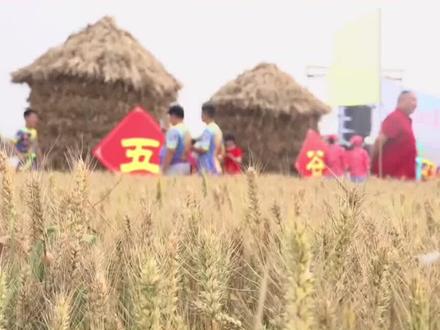 给你五千亩地,你选择种#粮食 还是经济作物?#现代农业@抖音三农 @抖音小助手