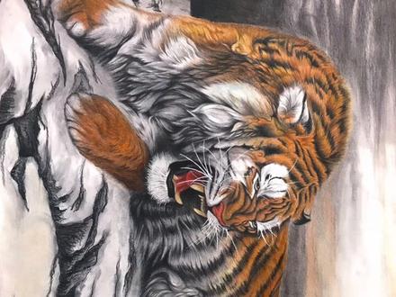 教大家如何用彩铅画一只老虎🐯#画画 #手绘