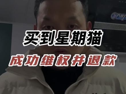 买到星期猫维权成功并退款,今天给大家分享一下过程,希望对大家有所帮助#星期猫 #养猫人 #撸猫#维权