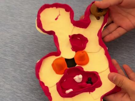 乐多做的一个节奏盒子抓捕游戏#节奏盒子手工 #节奏盒子 #手工diy #家有萌娃