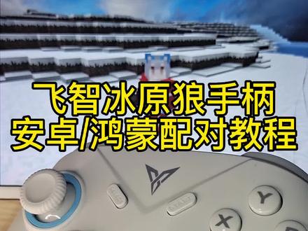 我的世界手柄教学,#我的世界 飞智冰原狼手柄蓝牙配对教程,mc冷知识,起床战争手柄键位推荐和灵敏度设置,花雨庭搭路技巧跑跳搭怎么练,冰原狼手柄安卓鸿蒙系统连接使用方法!mc手机版手柄如何选?#起床战争 #花雨庭 #pvp #我的世界mc