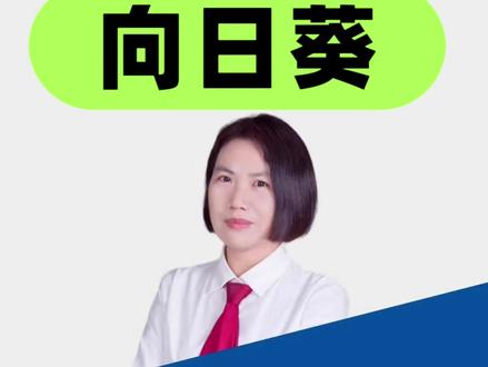向日葵为何被立案?股民索赔条件是什么? #向日葵 #股票索赔律师