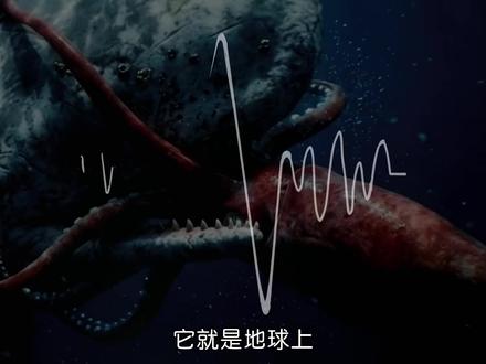 地球上下潜最深的终极掠食者-抹香鲸的逆天操作 #探索发现 #抹香鲸 #动物科普 #鲸鱼 #青年创作者成长计划