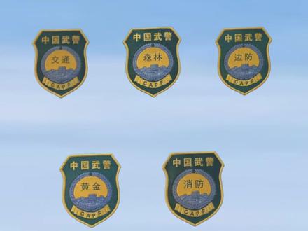 老兵们集合了, 你曾服役于哪个?