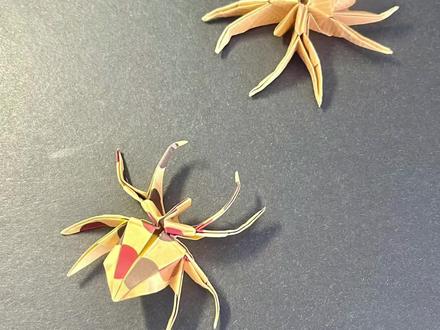 折只蜘蛛🕷️#折纸教程 #抖音折纸 #折纸 #折出美好生活