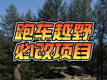 跑车越野 必改项目 #911 #保时捷911越野 #越野