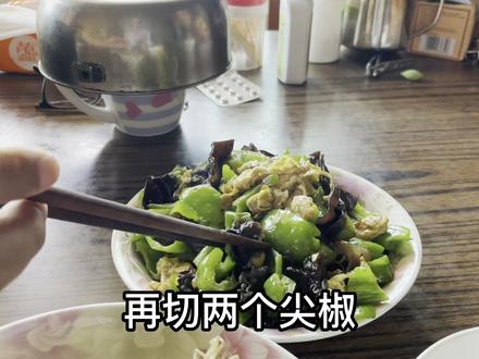 毛木耳是木耳吗?有毒吗?与黑木耳有啥区别呢? #木耳 #野生菌 #毛木耳 #树桩上的木耳 #黑木耳 #砂耳 #与木耳长的很像 #纯天然绿色食品