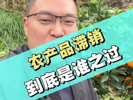 索图到底是宣传了奉节还是祸祸了奉节?你怎么看#索图 #网红经济乱象 #网红经济 #奉节脐橙