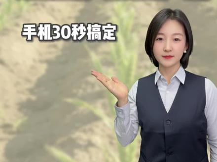 速查宅基地!手机30秒搞定,最后1个官网入口信息最全。自然资源部官网找各省办事大厅,转发给同村老乡是做善事。#宅基地 #自然资源部 #农村老乡 #老百姓关心的话题 #知识分享