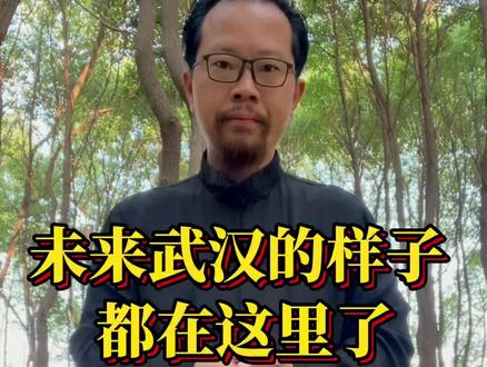 武汉未来的样子是这样的@抖音小助手 #买房知识#买房攻略