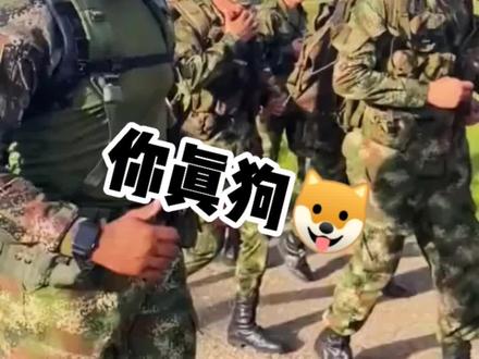 @高歌猛进🇨🇳中国铽种兵🇨🇳在海外 完整版的翻译,交作业了。#军训 #神翻译 @DOU+小助手 老表