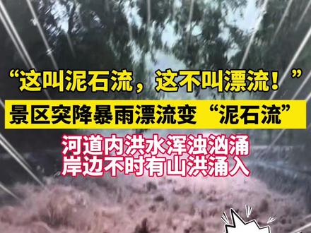 “这叫泥石流,这不叫漂流!”#河南一景区突降暴雨漂流变泥石流 #景区回应游客遇暴雨漂流变泥石流