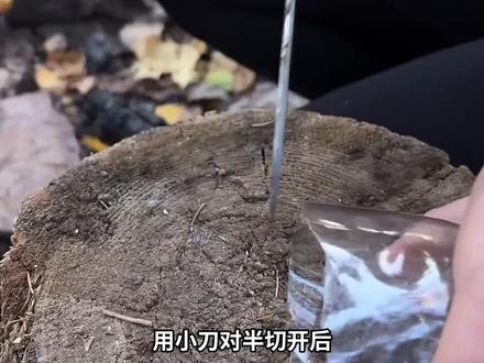 荒野生存小技巧,一起来看看 #野外生存 #荒野生存 #生存技巧