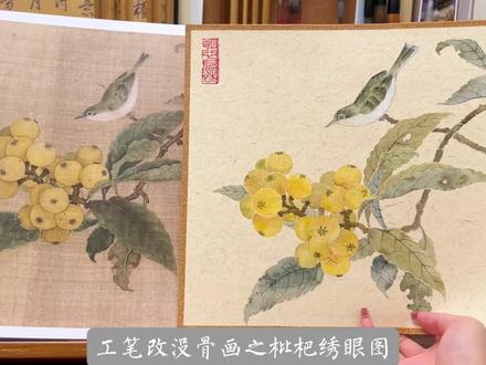 没骨076丨工笔改没骨之临林椿的枇杷山鸟图,今天的快乐是画画给的❤️#国画 #没骨画 #让喜欢的事成为生活 #传统文化 #枇杷山鸟图