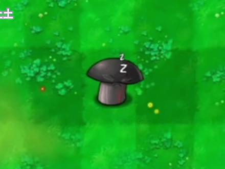 植物大战僵尸毁灭菇粘土教程 手工彩泥手办#粘土教程 #手办 #植物大战僵尸 #植物大战僵尸玩具 #手工diy #超轻粘土手工