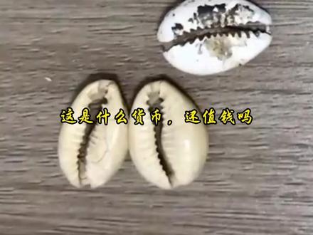 表哥万物科普 带你认识古代10种货币,抓紧看看你家有没有 #古钱 #货币 #古玩