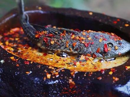 最后烤熟了还想逃跑,草率了#乡村新美食 #美食趣胃计划 @煎盘侠_烧烤日常