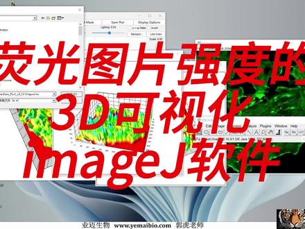 荧光图片荧光强度3D可视化(imageJ)