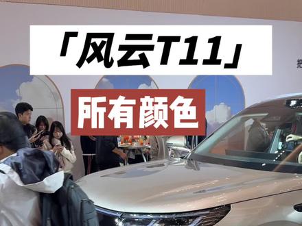 一个视频带你看完风云T11所有颜色#风云T11