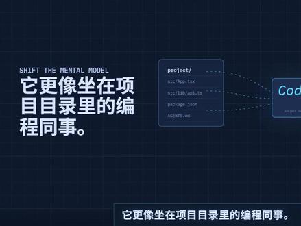 程序员效率翻倍,Codex 实战指南 #AI #程序员