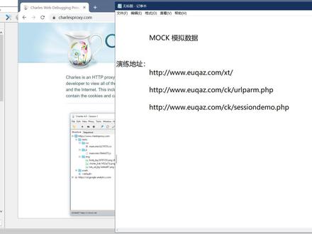 Charles代理_14_Mock
