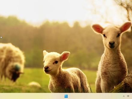 重装win10不用花钱!免费资源 + 教程 #电脑知识 #系统重装 #电脑小技巧