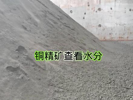 铜精矿查看水分份含量#大副#铜精矿含水量