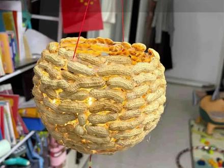 吃完的花生壳打造小院氛围感新春灯笼#手工diy #小院 #小院改造 #规划设计 #场地规划