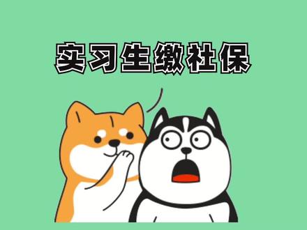 别超前!大学生实习期提前缴社保会直接影响到考公务员、积分落户、进央企#涨知识 #冷知识 #知识 #社保 #实习生 #薅知识 #大学生